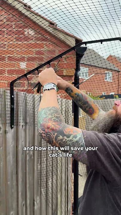 We couldn't believe her reaction... 😹❤️ #catfencing