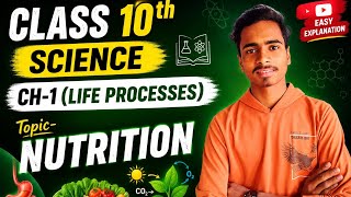 Class 10th Life processes|Nutrition|Respiration|Transportation|Excretion|CBSE Syllabus based|NCERT