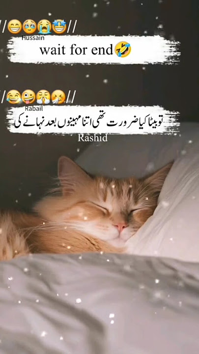 Funny Jokes Rabail Api Or Hussain #funny #rabailrk #catcomedy #jokes #rabil #facts #rabul #pkgold