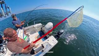 Awesome day walleye fishing on Lake Erie #fishing #boat
