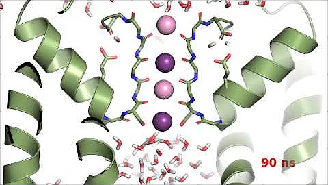 Potassium permeation in KcsA