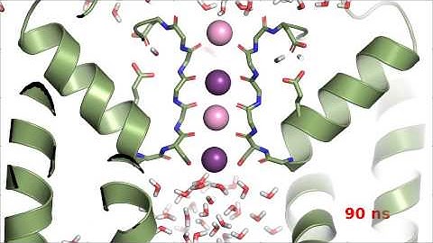 Potassium permeation in KcsA