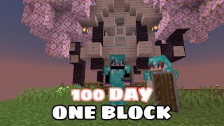 100 ngày mình sinh tồn trên 1 block