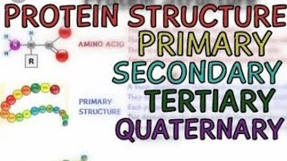 Structure and functions of Proteins