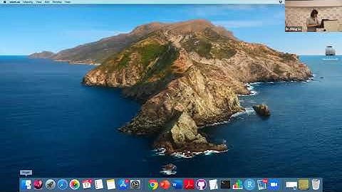 Meng Lu - statistical methods in global air pollution modelling: (part 1: ensemble trees)