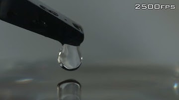 8.4 Lesson 11 Shape of Water Drop