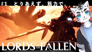 【Lords of the Fallen】虎丸、闇の十字軍でバイトします🌟【道フォ】