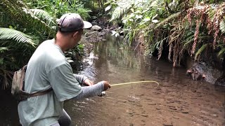 We Finally Have the Super Flexible Wader Casting Rod