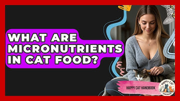 What Are Micronutrients In Cat Food? - Happy Cat Handbook