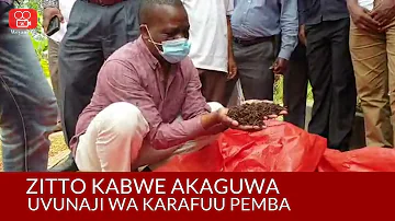 Zitto Kabwe akaguwa uvunaji karafuu Pemba
