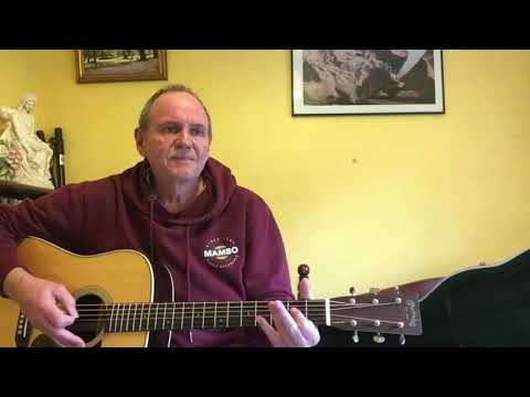 Winterwood - Don McLean cover