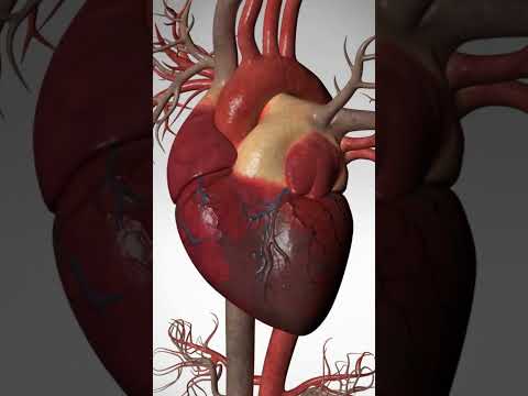 See How Heart Bypass Surgery Works (CABG)