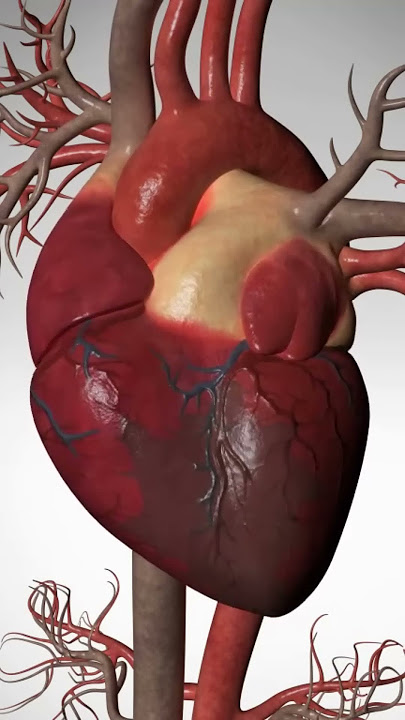 See How Heart Bypass Surgery Works (CABG) #heartdisease #heart #cardio