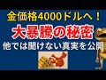 【金価格4000ドルへ!】2025年金価格 史上最高値突破の本当の理由 ?他のYouTuberが絶対語らない短期要因とは? COMEX在庫 上海プレミア 金ETF 中国・インド制度改革の三段波の全貌。