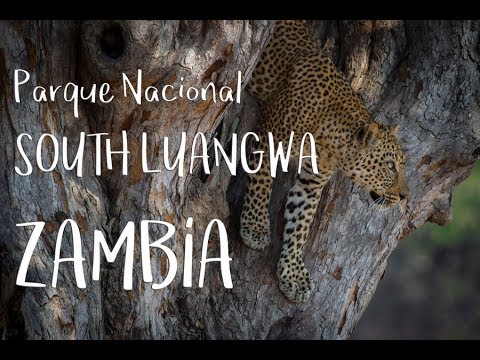 Parque Nacional South Luangwa (Zambia)