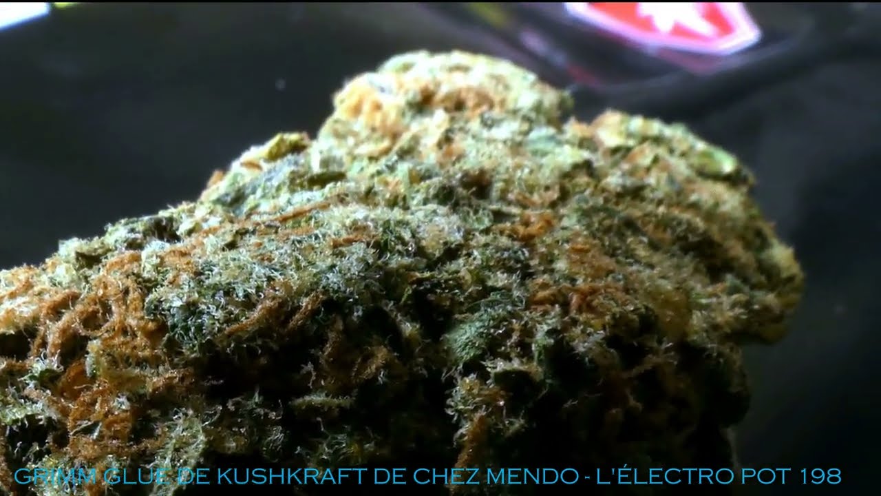 GRIMM GLUE DE KUSHKRAFT DE CHEZ MENDO - L'ÉLECTRO POT 198