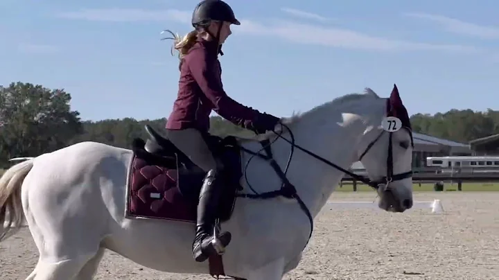 Dressage || Ocala || RS || MCN