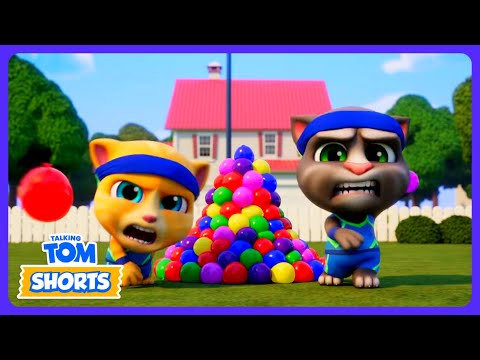 Die ultimative Wasserschlacht! 💦 - Talking Tom Shorts | Kinderfilme | WildBrain Kinder