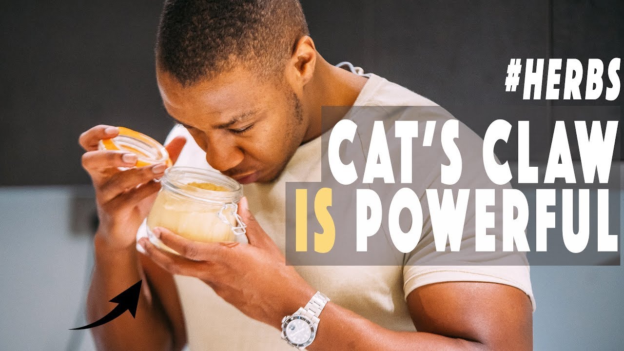 4 BENEFITS  OF CAT S  CLAW  Powerful Herb  YouTube