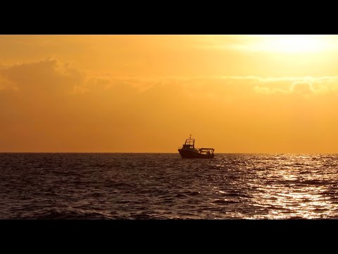 Un día en el mar: la pesca de la gamba roja de Dénia (capítulo cuarto)