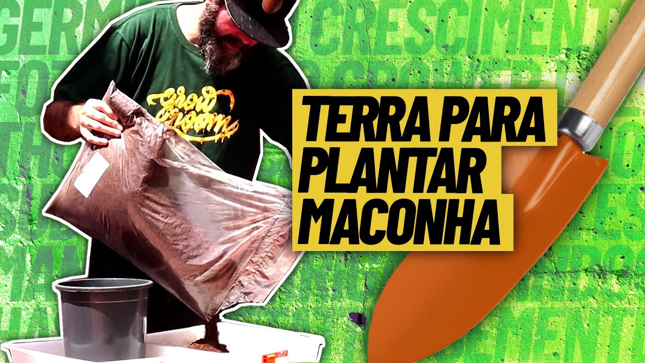 Como plantar maconha - Qual a melhor terra para plantar?
