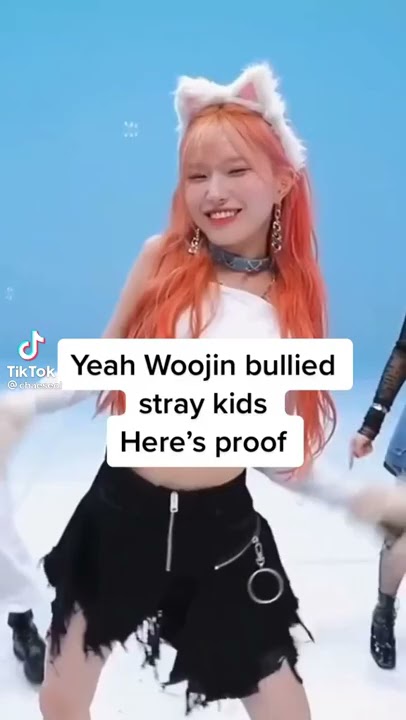 woojin bullying stray kids