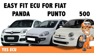 Athlete Statistics Fixing misfire with Easy Fit ECU. Fiat 500  Punto Panda Ford KA