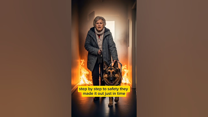 Blind Woman Saved from House Fire by Hero Dog | German Shepherd’s Brave Rescue