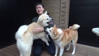 美容院に行ってきたワン！