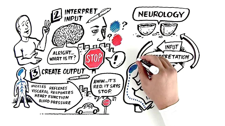 Z-Health and Neurology 101