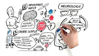 Z-Health and Neurology 101