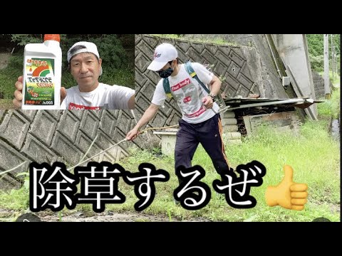 雑草と戦う男！【除草剤】【噴霧器】ラウンドアップ＆噴霧器 使用方法！weeding tools