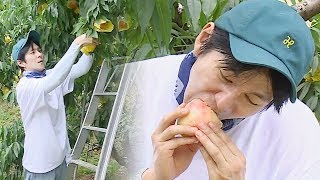 권해성, 나무늘보 사위의 여유로운 밭노동 @백년손님 435회 20180818