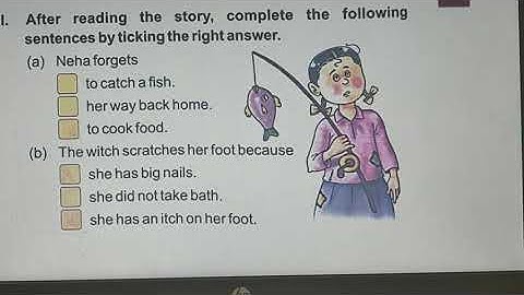 DAV- Chapter 10-  The  Magic Matchbox - Class II (Question & Answers)