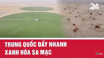 Trung Quốc đẩy nhanh xanh hoá sa mạc | VTV24