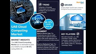 UAE Cloud Computing Market Demand, Drivers and Opportunities 2024-2030