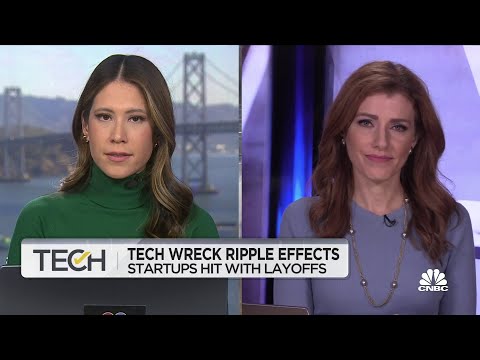 Tech wreck shows ripple effects into startup ecosystem after layoffs