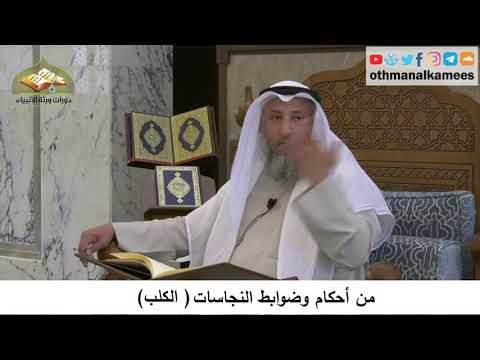 57 - من أحكام وضوابط النجاسات - الكلب - عثمان الخميس