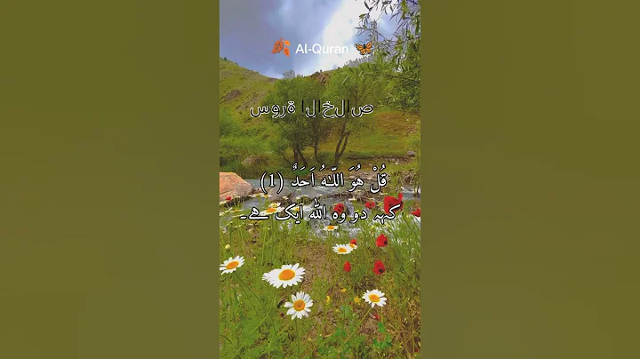 🍂 surah ikhlas🦋 #shorts #shortfeed #foryou #shortsviral #shortvideos 📖