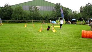 Irjgv Agility Cup-Turnier Jork 14.08.11 Kinsca A-Lauf