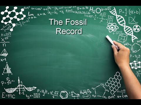 How to Ace AP Biology: The Fossil Record