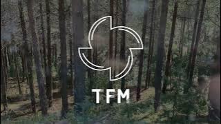 Zedd, Maren Morris, BEAUZ - Make You Say