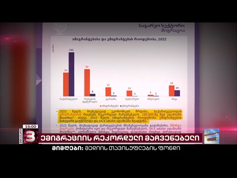 ემიგრაციის საგანგაშოდ რეკორდული მაჩვენებელი