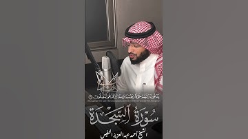تلاوة هادئة من سورة السجدة | الشيخ أحمد النفيس #احمد_النفيس