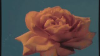 Rose Solo - Aesthetic Edit - Slowed