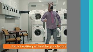 Rinset | Automated Laundry Timer | Horsing Around at the Laundromat 🧺 screenshot 4