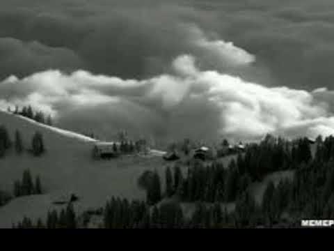 سورة يوسف للشيخ محمد احمد شبيب