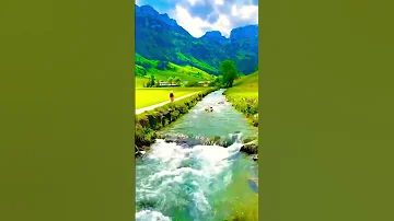 #viral #reels #video #switzerland #ice#flowers #hill#transparent colour water #sksvlogs-1983