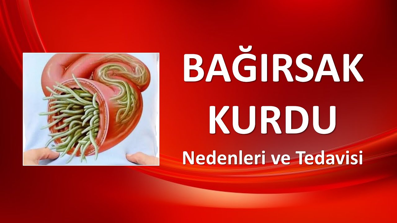 BAĞIRSAK KURDU Nedenleri ve Tedavisi