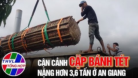 Cận cảnh cặp bánh tét nặng hơn 3,6 tấn ở An Giang